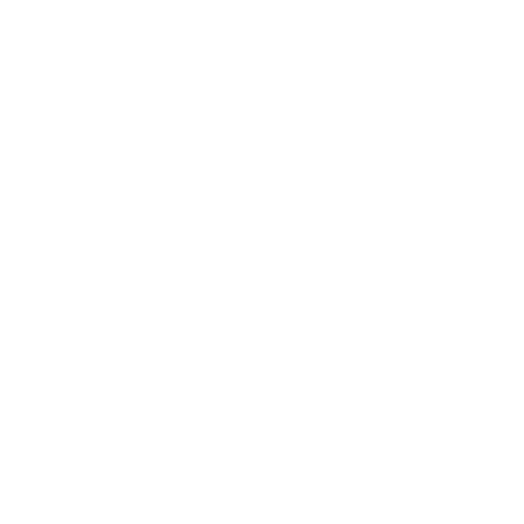 VYORA
